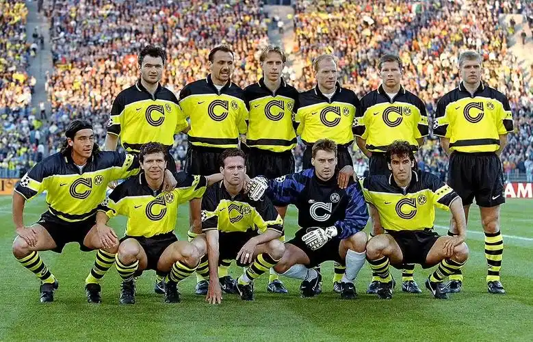 多特蒙德2-0霍芬海姆：罗伊斯闪光，大黄蜂稳居德甲前列