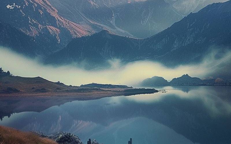 网球世界排名最新更新 男单女单选手积分排名详细解析